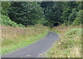 NZ8514 : Cleveland Way at Stonecliff End by Mat Fascione