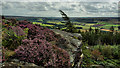 NZ5909 : Cooks Crags overlooking Kildale by Mick Garratt