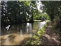 SP1765 : Approaching Lock 36, Stratford-upon-Avon Canal by Robin Stott