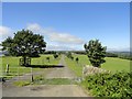 NZ1446 : Cattle grid and driveway by Robert Graham