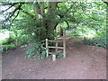 TQ1347 : Stile in Rookery Wood, near Wotton by Malc McDonald