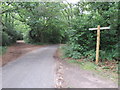 TQ1348 : Public footpath at Westcott Heath near Dorking by Malc McDonald