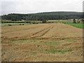 NO7393 : Barley field near Bogforran by Scott Cormie