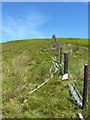 SJ1033 : Small white stone on the fenceline near Foel Wen by Richard Law