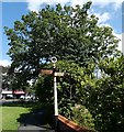 SJ8485 : Old Cheadle & Gatley UDC signpost by Gerald England