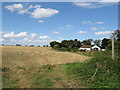 TL5202 : Public footpath at Clatterford End, near Ongar by Malc McDonald