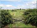 TL5306 : Gate and ditch near Ongar by Malc McDonald