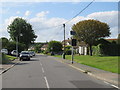 TL5504 : Moreton Road, Ongar by Malc McDonald