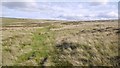  : Crosby Ravensworth Fell by Richard Webb