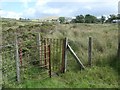 SH4955 : Public footpath heading east to Capel y Bryn by Christine Johnstone