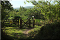 SX7780 : Permissive bridleway into Hisley Wood by Derek Harper