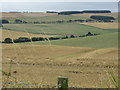 NT8364 : Straw in stubble field on Greenwood Farm in the Scottish Borders by ian shiell