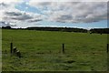 NU1826 : Fence and stile between grass fields by Graham Robson