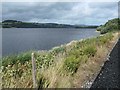 SH8931 : Llyn Tegid / Bala Lake near Ffynnongower by Christine Johnstone