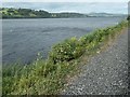 SH9133 : Llyn Tegid / Bala Lake near Bryntirion by Christine Johnstone