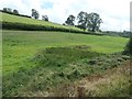 SH8830 : Hedges along the B4403 near Ty'n y Coed by Christine Johnstone