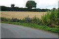 SX8988 : Harvested field south of Ide by Robin Webster