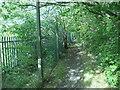 SE3506 : Public footpath, heading north from Pontefract Road, Barnsley by Christine Johnstone