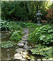 SK5453 : Newstead Abbey Gardens  Japanese Garden by Alan Murray-Rust