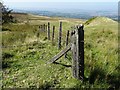 SO5984 : Fence and fence posts on Clee Burf by Philip Halling