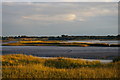 TM3957 : River Alde downstream of Snape by Christopher Hilton