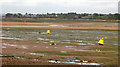 SX9981 : Cockle Sand, Exmouth by Derek Harper