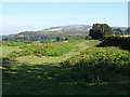 SO5783 : Common land below Brown Clee Hill by Philip Halling