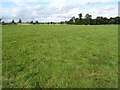 SO8844 : Grassland in Croome Park by Philip Halling