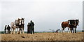 TQ0845 : Surrey County Ploughing Match 2019 by Peter Trimming