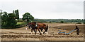 TQ0845 : Surrey County Ploughing Match 2019 by Peter Trimming