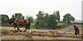 TQ0845 : Surrey County Ploughing Match 2019 by Peter Trimming