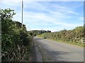 NZ2252 : Looking south down Twizell Lane by Robert Graham