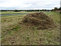 SO7844 : Grass cuttings on Malvern Common by Philip Halling