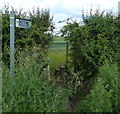 SK9316 : Rutland Round footpath along New Road by Mat Fascione