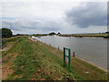 TG4604 : Wherryman's Way by Berney Arms Windmill by Eirian Evans