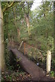 TM3764 : Footpath crossing the Gull Stream by Christopher Hilton