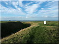 SU3086 : Trig point at Uffington Castle by Vieve Forward