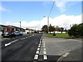 NZ2547 : The main street in Nettlesworth by Robert Graham