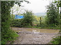 TQ3452 : Muddy path near Godstone by Malc McDonald