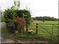 TQ3660 : Public footpath, Farleigh, near Warlingham by Malc McDonald