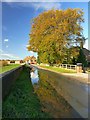 SE6924 : Autumn colour reflected in a roadside puddle by Graham Hogg