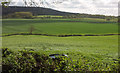 ST5210 : Broad River valley at Pendomer by Derek Harper