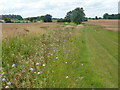  : Footpath along field edge by Robin Webster