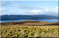 NR9890 : Grassy moorland at around 250 metres by Trevor Littlewood