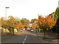 TQ3965 : Autumn colour on Abbotsbury Road, near Hayes by Malc McDonald