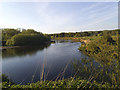 SE3629 : River Aire near Woodlesford by Stephen Craven