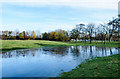 NZ2365 : Flood on Newcastle Town Moor by Trevor Littlewood