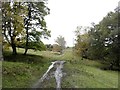 NZ0748 : Muddy track from Dean Howl by Robert Graham