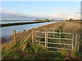 TL4177 : A view from Chain Corner - The Ouse Washes by Richard Humphrey