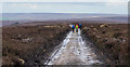 NZ6205 : Hill road with walking party by Trevor Littlewood